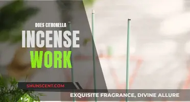 Citronella Incense: Effective Mosquito Repellent or Just Smoke?