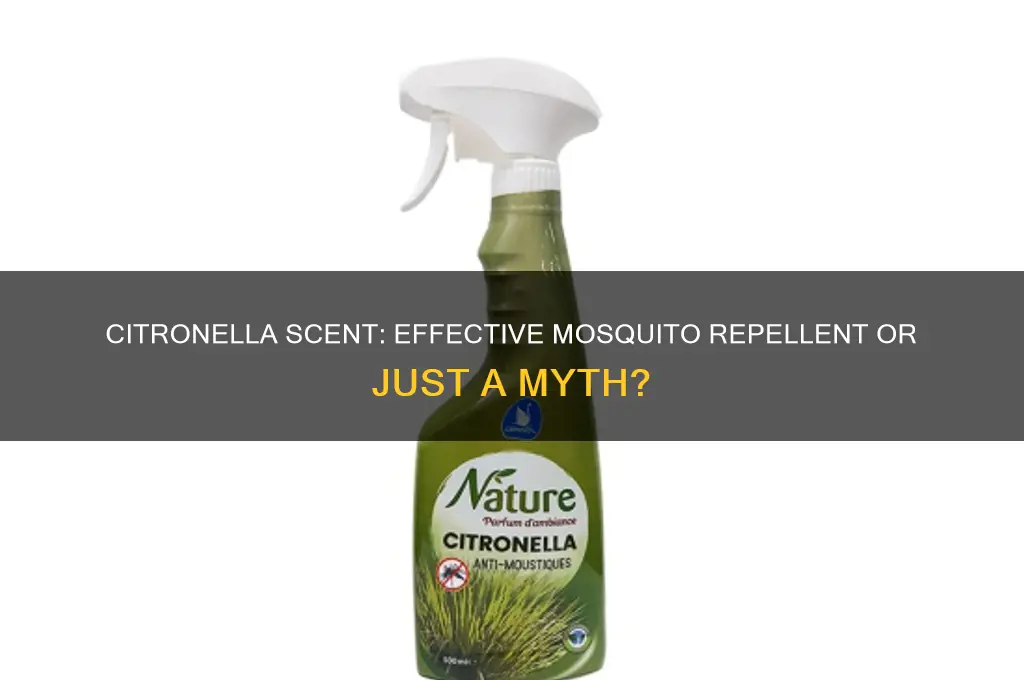 does citronella scent repel mosquitoes