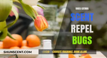 Citrus Scents: Effective Bug Repellent or Just a Fresh Aroma?
