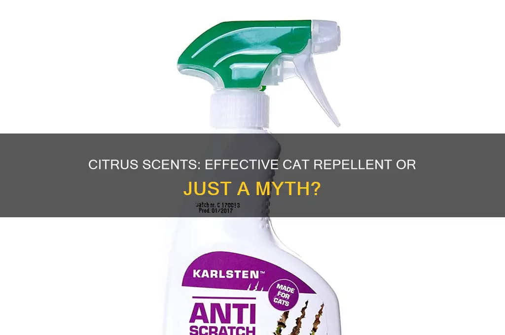 does citrus scent repel cats