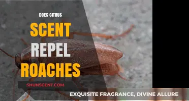 Citrus Scent as Roach Repellent: Fact or Fiction?
