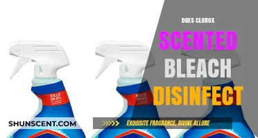 Does Clorox Scented Bleach Disinfect? Unveiling the Truth and Safety Tips
