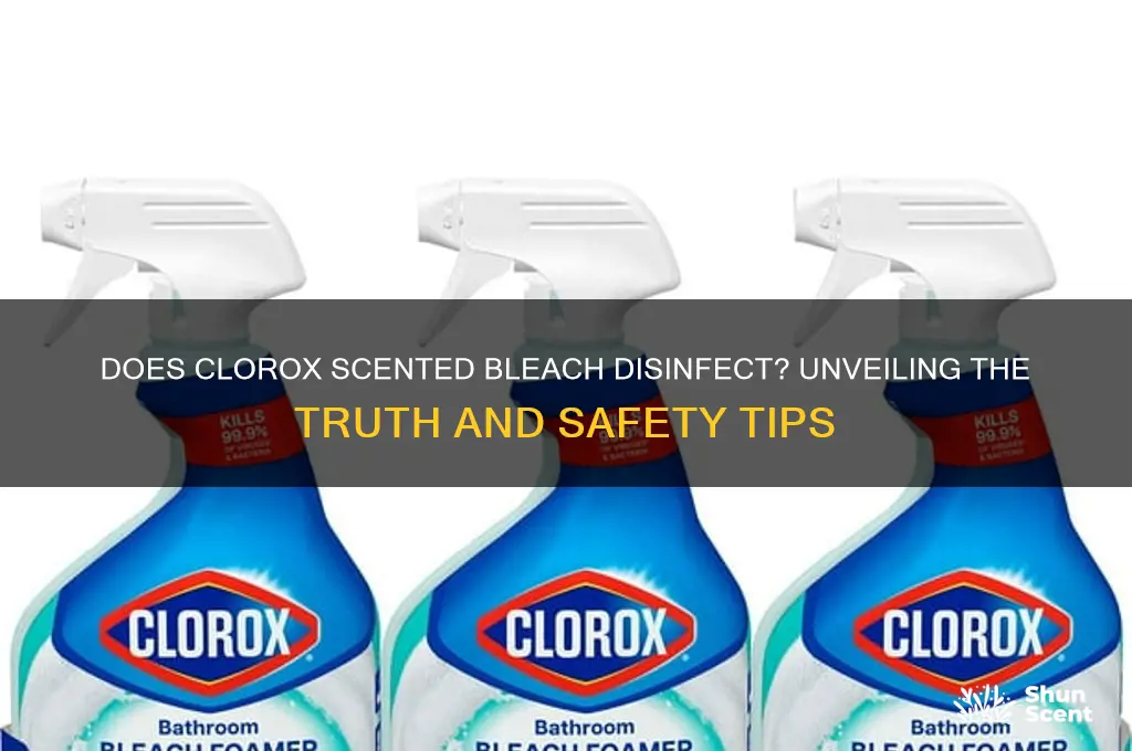 does clorox scented bleach disinfect