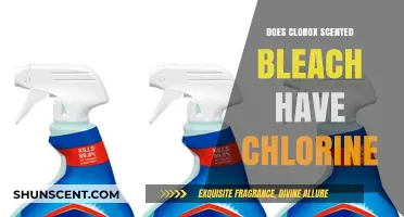 Does Clorox Scented Bleach Contain Chlorine? Unveiling the Truth
