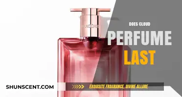The Cloud Perfume: Long-Lasting Scent?