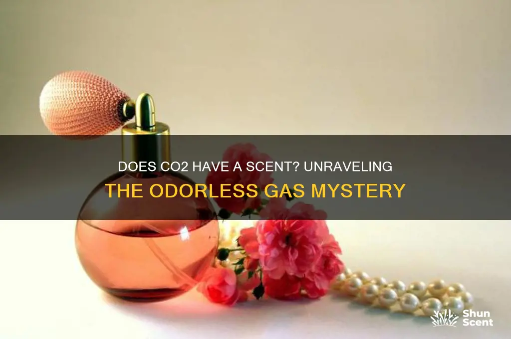 does co2 have a scent