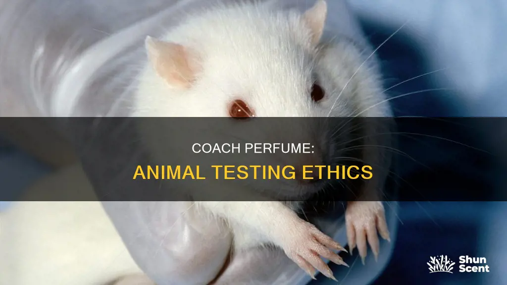 does coach perfume test on animals