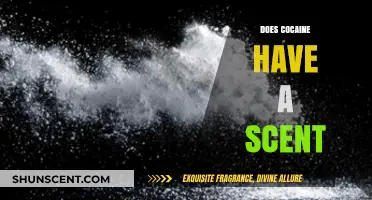 Unveiling the Truth: Does Cocaine Have a Distinct Scent?