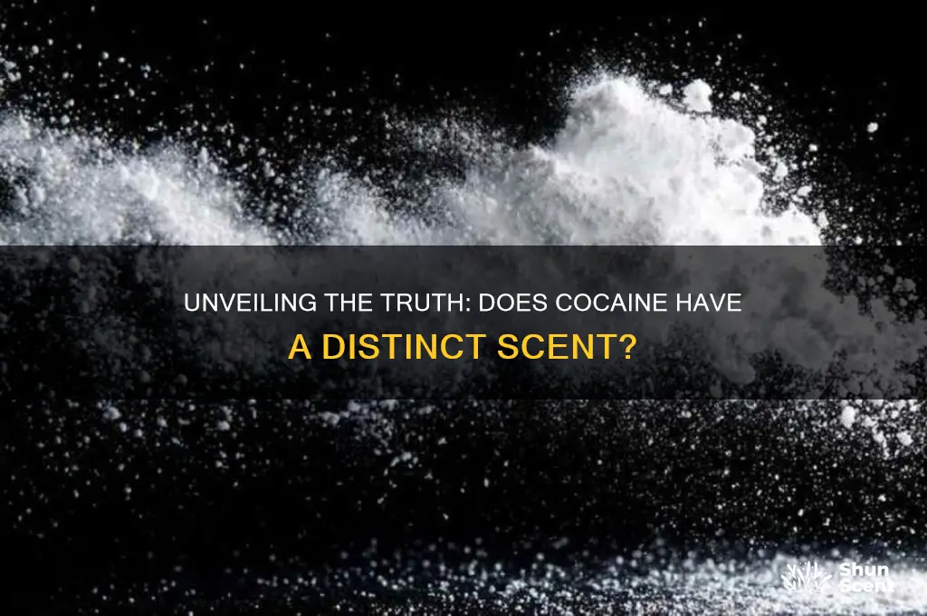 does cocaine have a scent