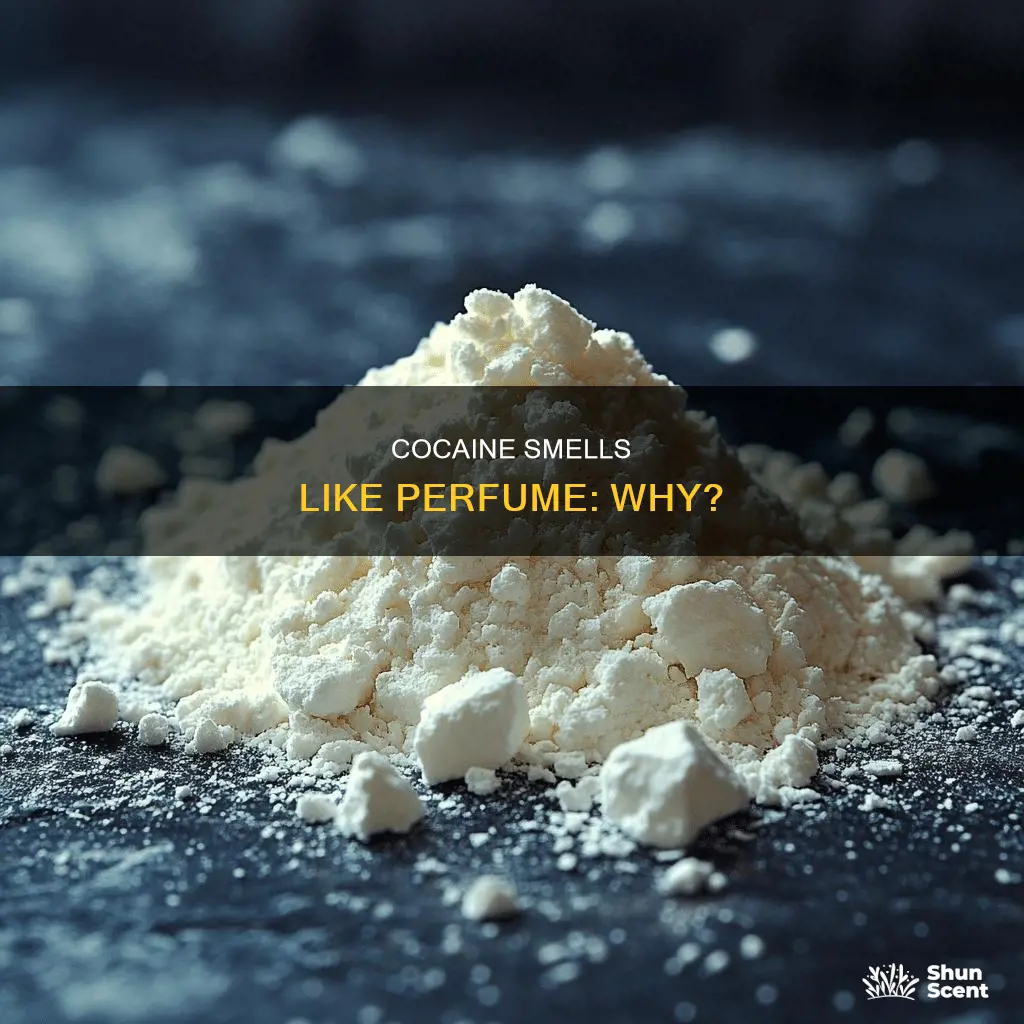does coccaine smell like perfume
