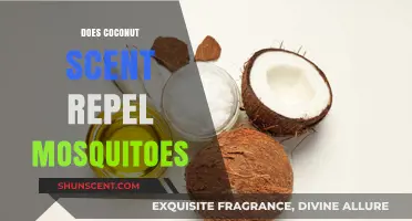 Coconut Scent vs. Mosquitoes: Does It Really Keep Them Away?