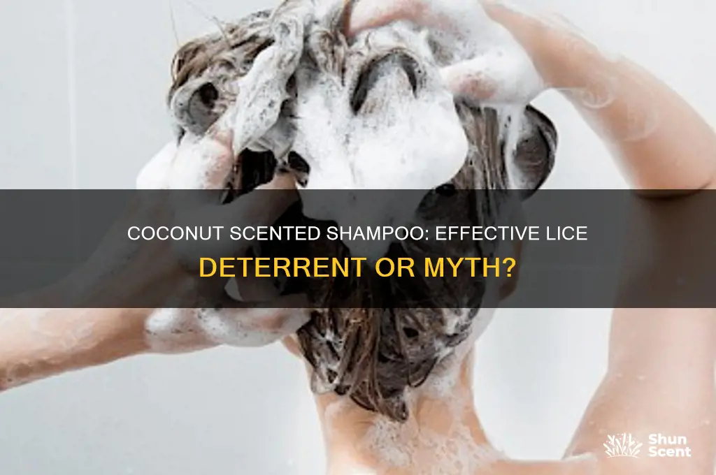 does coconut scented shampoo deter lice