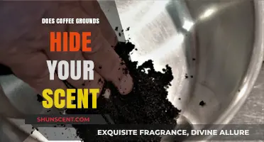 Can Coffee Grounds Mask Your Scent? Hunting and Outdoor Myths Debunked