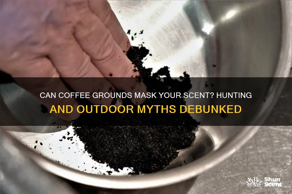 does coffee grounds hide your scent