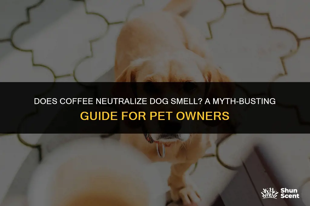 does coffee neutralize dog smell