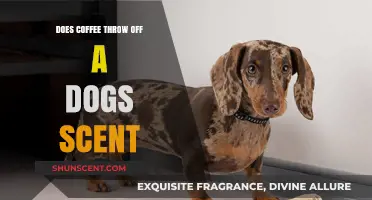 Can Coffee Mask a Dog's Scent? Uncovering the Truth for K9 Handlers