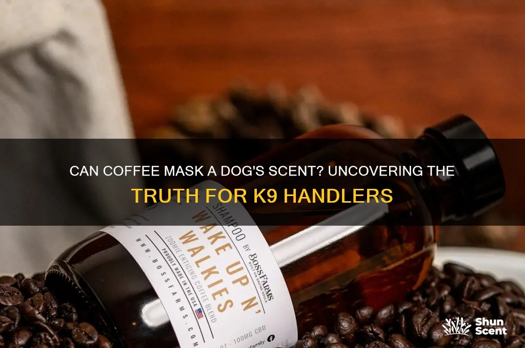 does coffee throw off a dogs scent