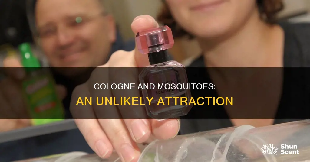 does cologne attract mosquitoes