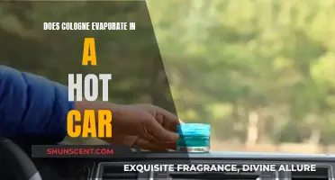 Colognes in Hot Cars: Do They Evaporate?