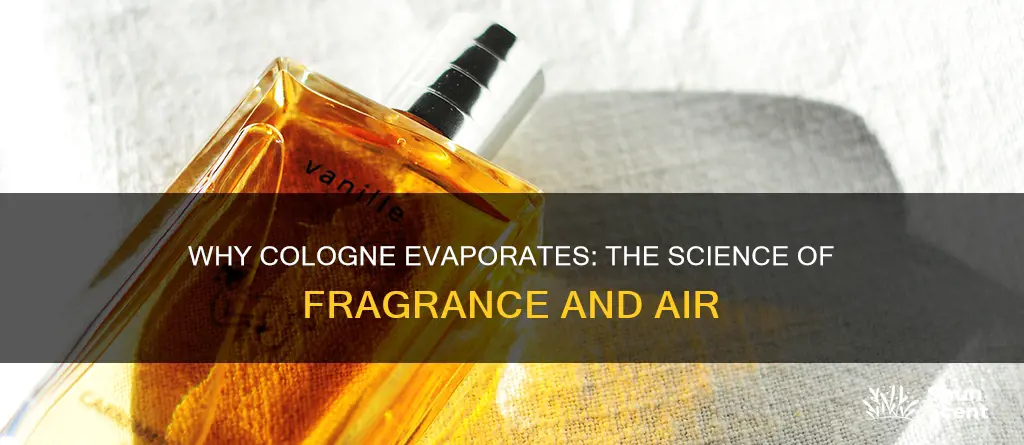 does cologne evaporate without cap