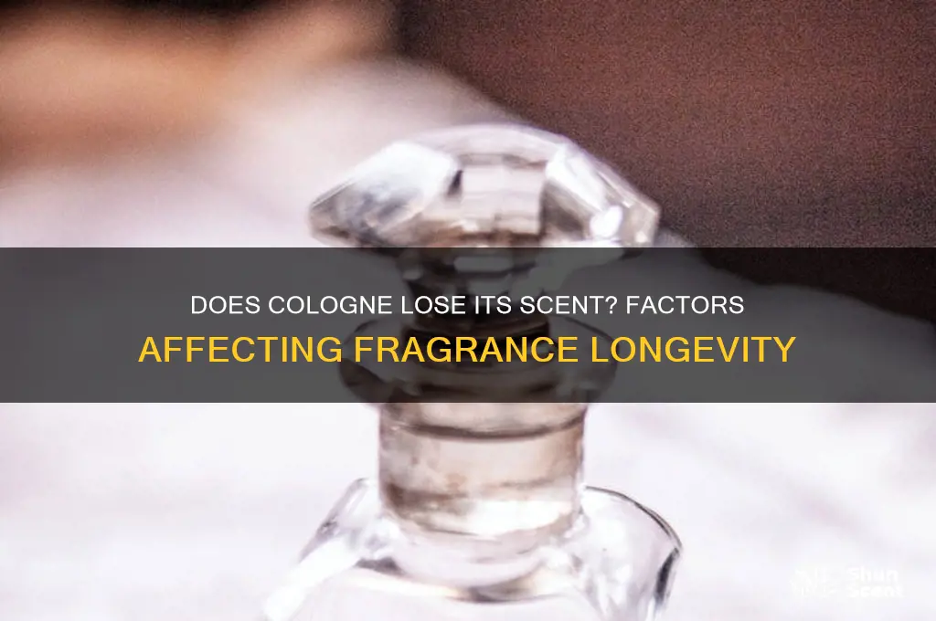 does cologne lose its scent