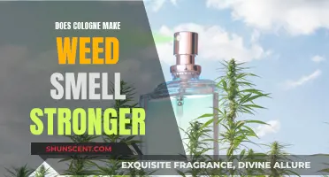 Cologne and Weed: A Strong-Smelling Combination?