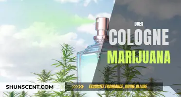 Marijuana and Cologne: Do They Mix?