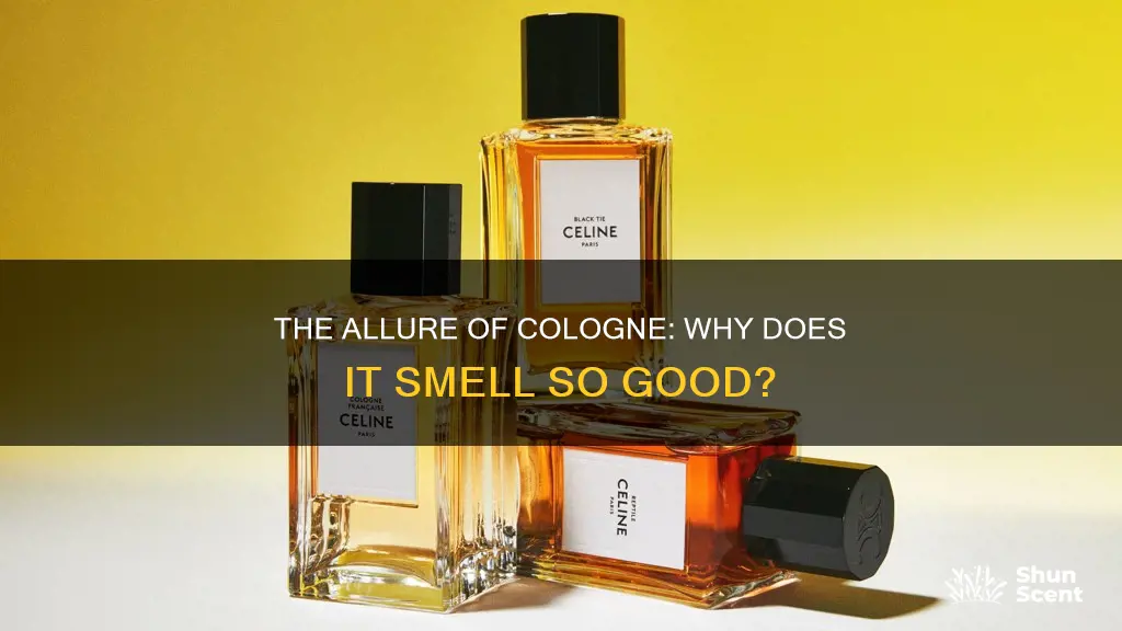 does cologne smell good