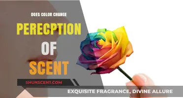 How Color Influences Our Perception of Scents: A Surprising Connection