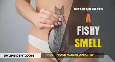 Unveiling the Truth: Does Cosequin Cause a Fishy Odor in Dogs?