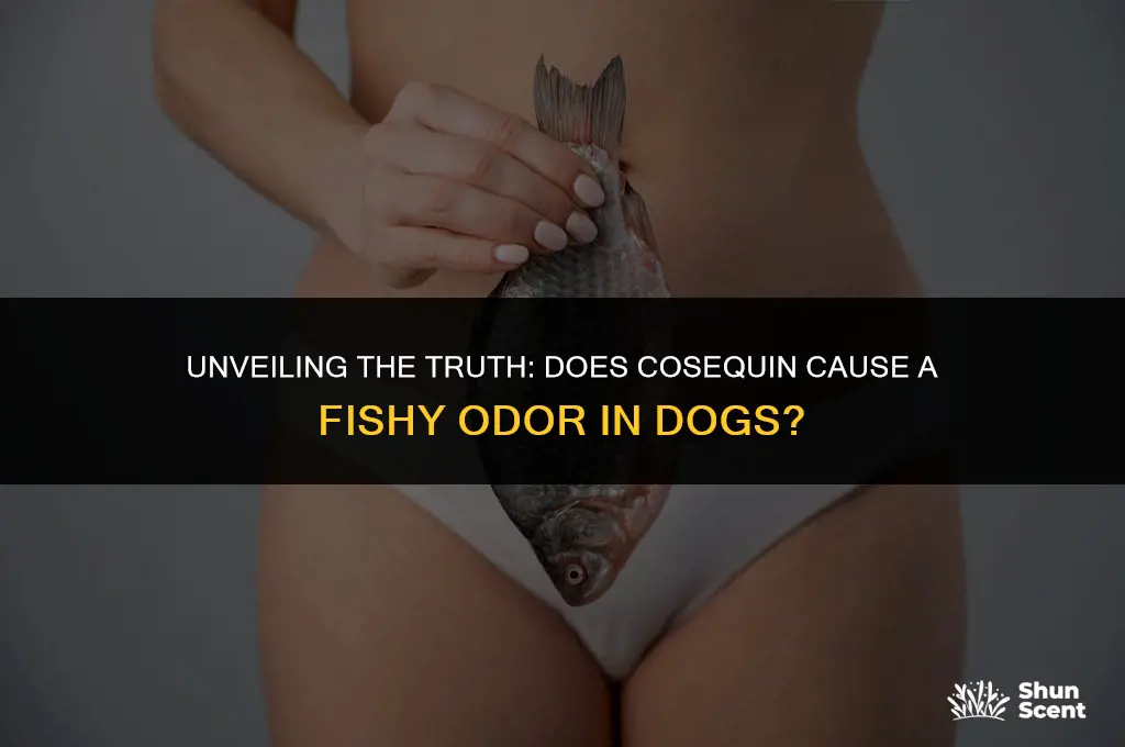 does cosequin give dogs a fishy smell