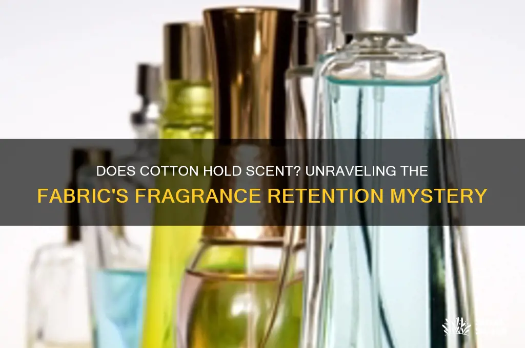 does cotton hold scent