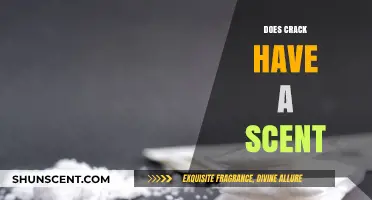 Unveiling the Truth: Does Crack Cocaine Emit a Distinct Scent?