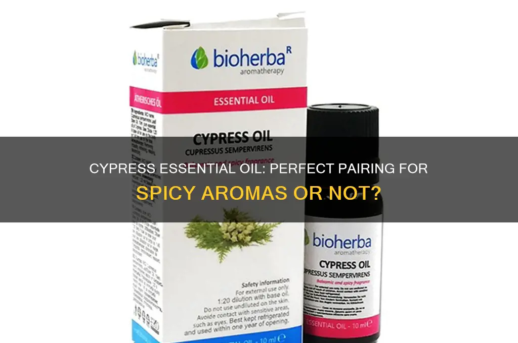 does cypress essential oil go with soicy scents