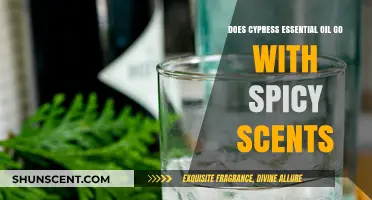 Cypress Essential Oil: A Perfect Match for Spicy Aromas?