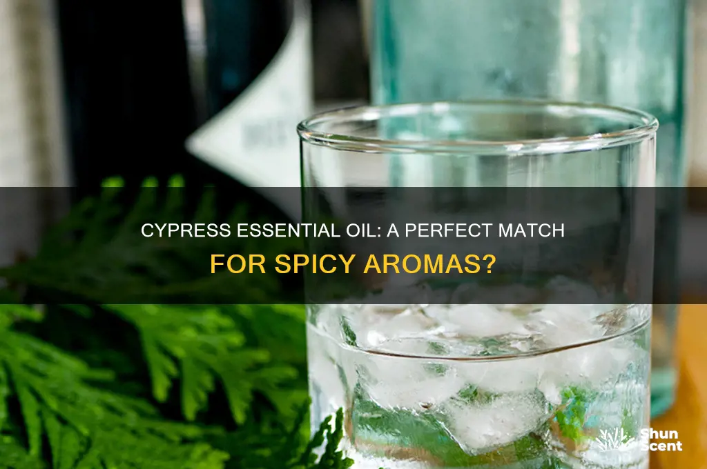 does cypress essential oil go with spicy scents
