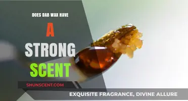 Does Dab Wax Smell Strong? Exploring Aromatic Intensity and Factors