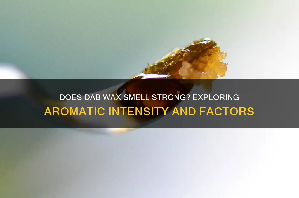 does dab wax have a strong scent
