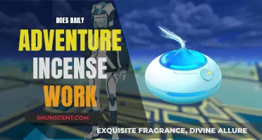 Daily Adventure Incense: Does It Work?