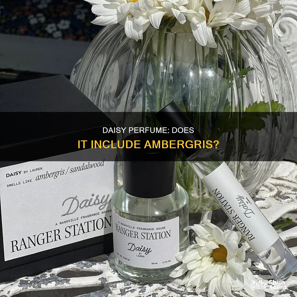does daisy perfume contain ambergris