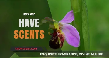 Does Dave Have Scents? Exploring the Olfactory World of Dave