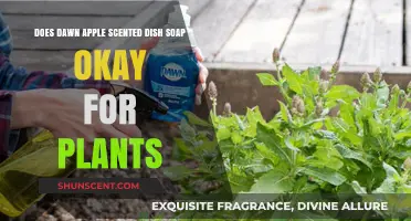 Is Dawn Apple Scented Dish Soap Safe for Your Plants?