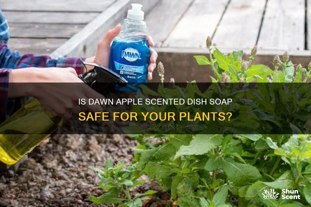 does dawn apple scented dish soap okay for plants