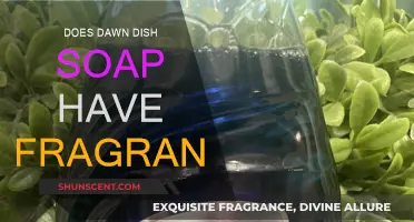 Dawn Dish Soap: Fragranced or Fragrance-Free?