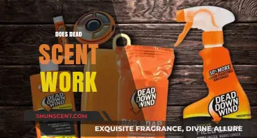 Does Dead Scent Work? Unveiling the Truth Behind This Hunting Myth