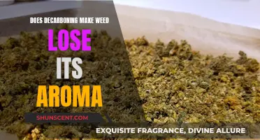 Decarbing Weed: Does It Affect Aroma and Potency?