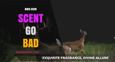 Does Deer Scent Expire? Understanding Its Shelf Life and Effectiveness