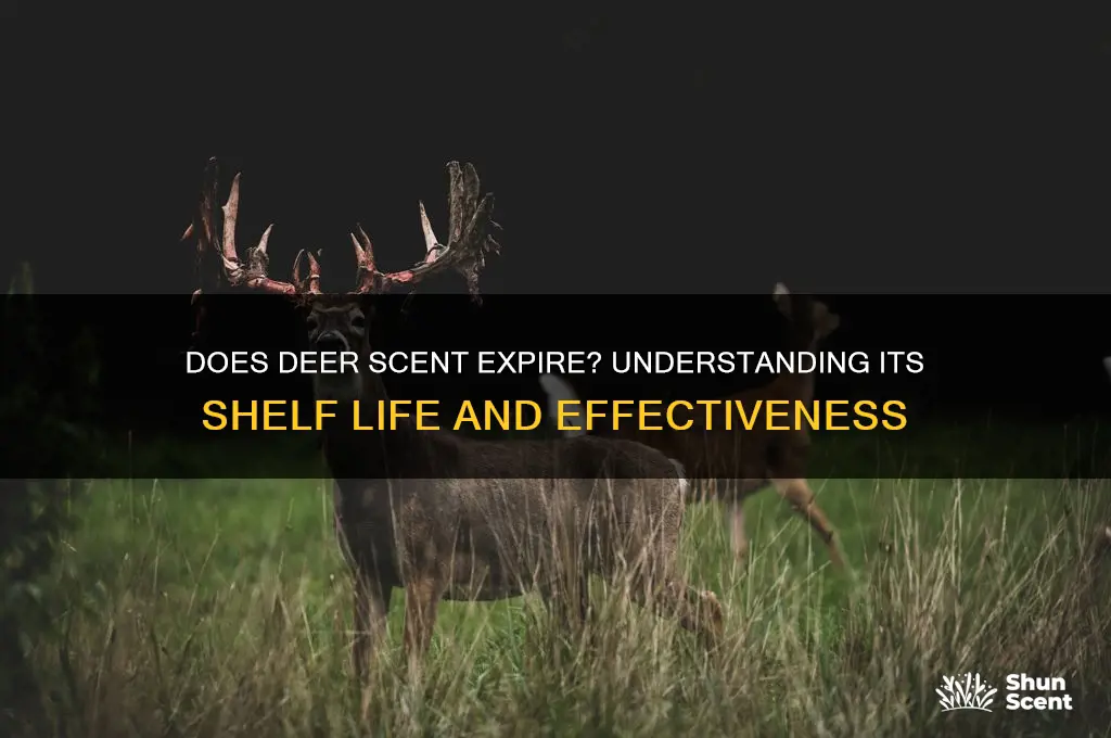does deer scent go bad