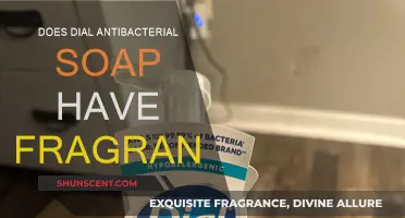 Dial Antibacterial Soap: Does It Smell Good?