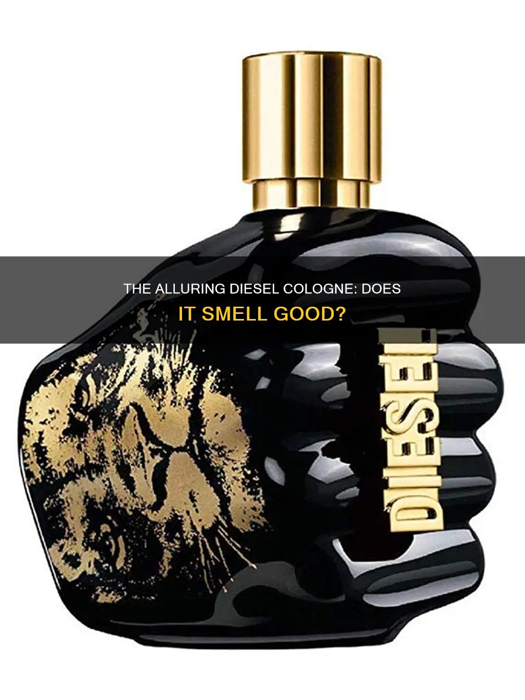 does diesel cologne smell good